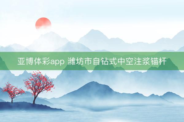 亚博体彩app 潍坊市自钻式中空注浆锚杆