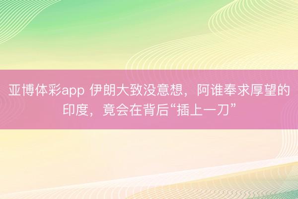 亚博体彩app 伊朗大致没意想，阿谁奉求厚望的印度，竟会在背后“插上一刀”