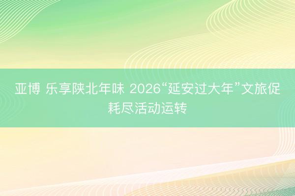 亚博 乐享陕北年味 2026“延安过大年”文旅促耗尽活动运转