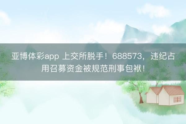 亚博体彩app 上交所脱手！688573，违纪占用召募资金被规范刑事包袱！
