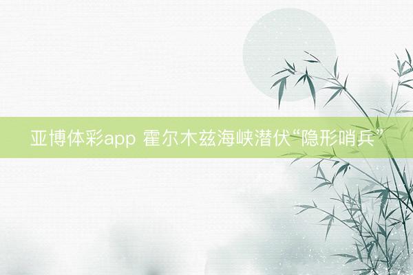 亚博体彩app 霍尔木兹海峡潜伏“隐形哨兵”