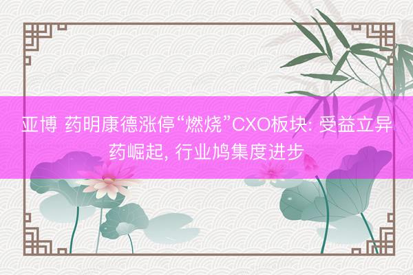 亚博 药明康德涨停“燃烧”CXO板块: 受益立异药崛起， 行业鸠集度进步
