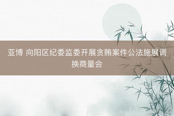 亚博 向阳区纪委监委开展贪贿案件公法施展调换商量会