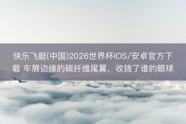 快乐飞艇(中国)2026世界杯IOS/安卓官方下载 车展边缘的碳纤维尾翼，收拢了谁的眼球