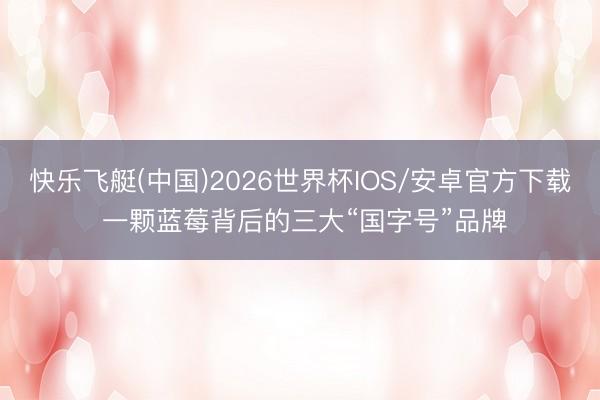 快乐飞艇(中国)2026世界杯IOS/安卓官方下载 一颗蓝莓背后的三大“国字号”品牌
